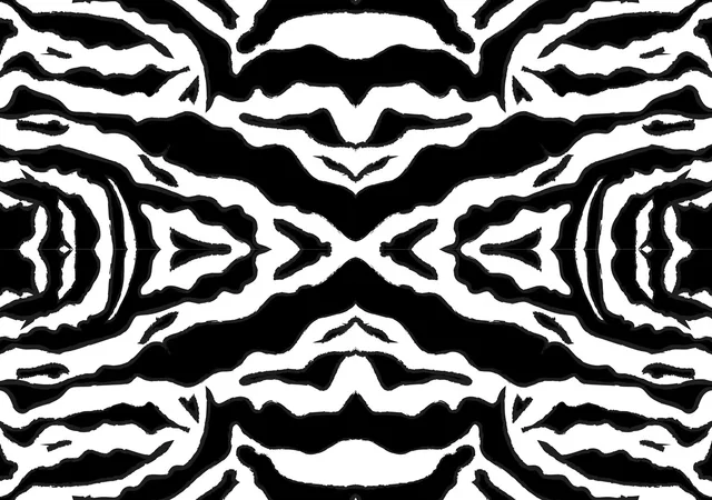 Zebra Confusion