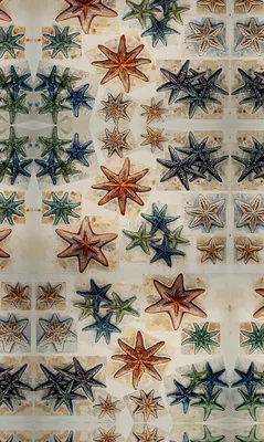 Starfish on the Move