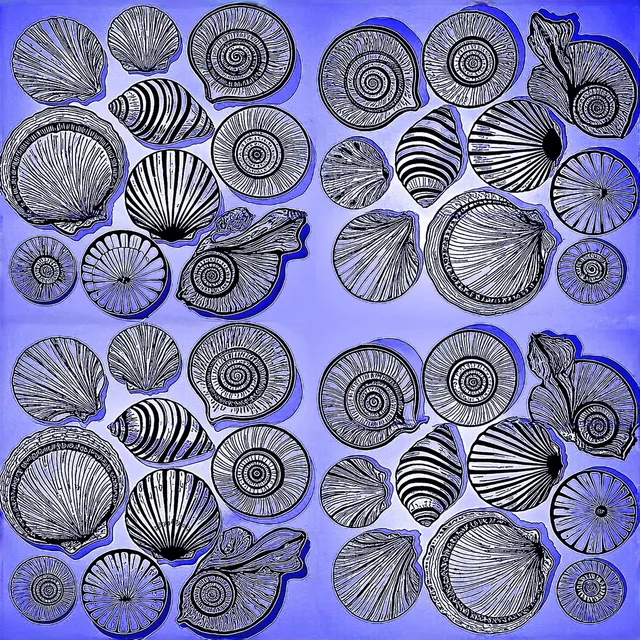 Shells Blue