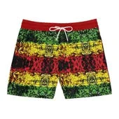 Reggae Stripe Men's Swimwear