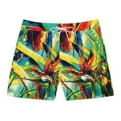 Birds Of Fire Men's Swimwear