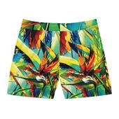Birds Of Fire Men's Swimwear