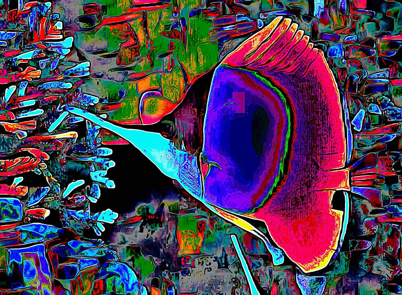 Long Snoot (Right) - Image 2