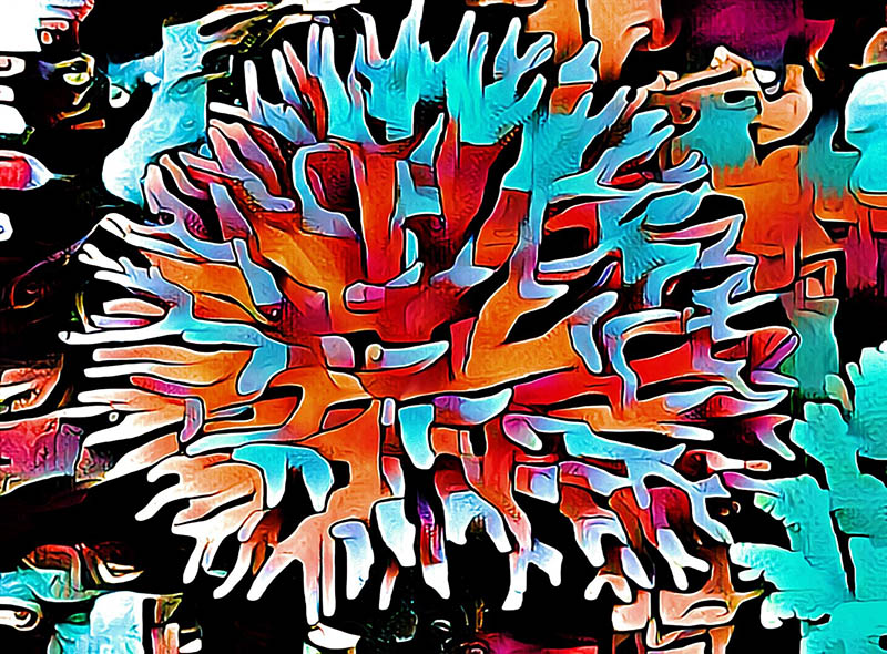 Aqua Spike - Image 2