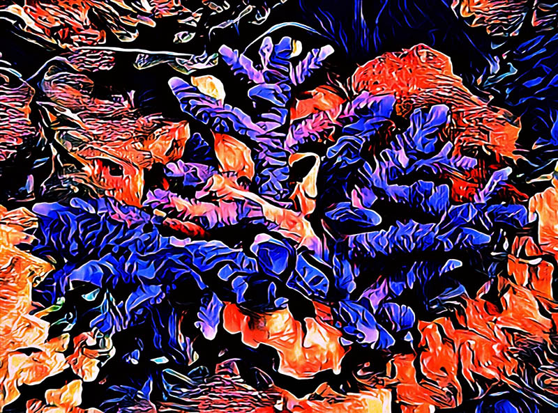 Blue Night - Image 2