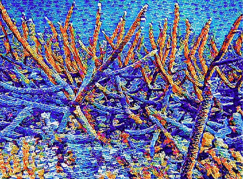 Stag Garden - Image 2