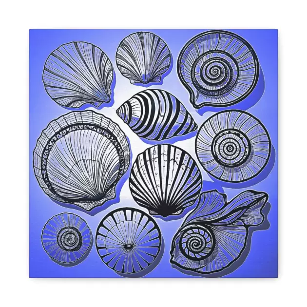 Shells 2 - Canvas Wall Art