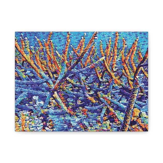 Abstract Coral Reef Matte Canvas | Stretched 1.25"